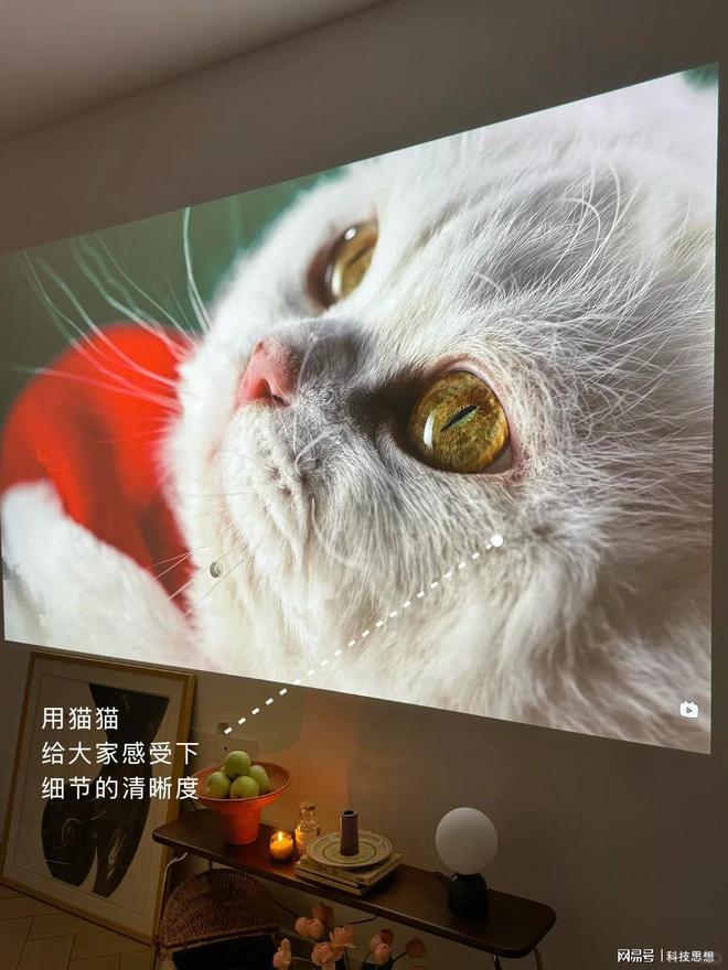 清晰度排行榜：当贝F7 Pro稳居榜首尊龙凯时新版APP首页2025家用投影(图4)